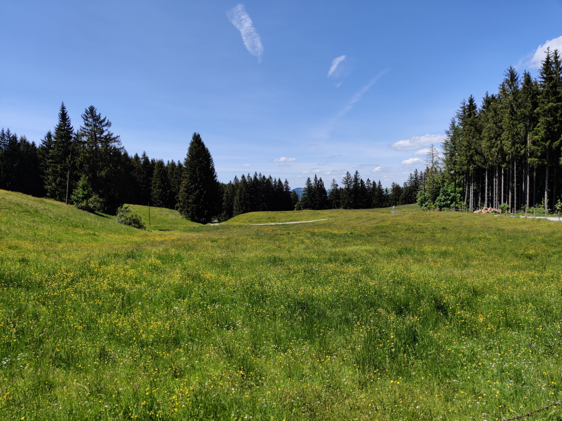 Ein Bergspaziergang